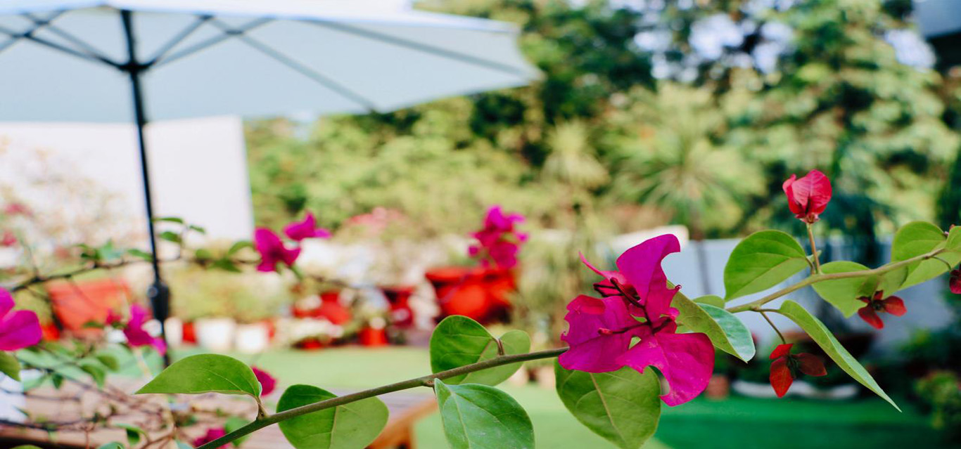 Thikana Delhi | thikanadelhi.com | Boutique bed and breakfast Delhi | Boutique and Breakfast Delhi | Bed and Breakfast Boutique Delhi